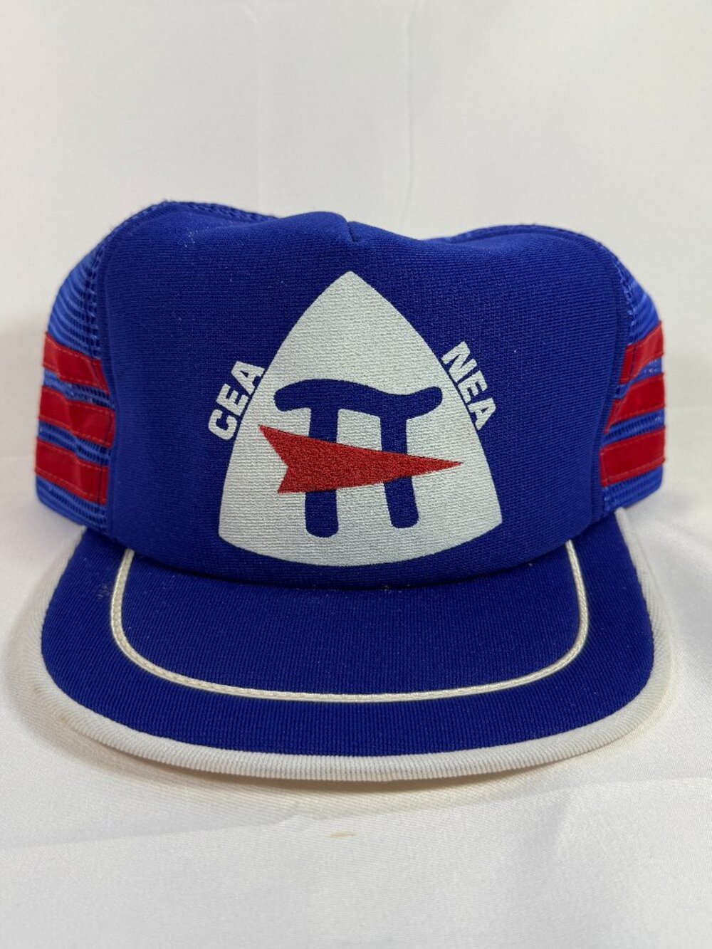 Vintage 1980s NEA CEA Pi Colorado Teacher Union 3 Stripe USA Snapback Hat Rare